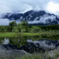 Туман в горах Алтая