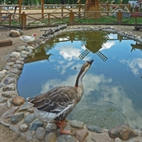 Неправильные крылья!