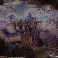 Призраки лужи