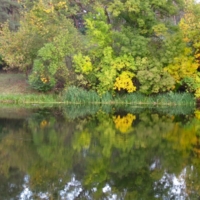 Осень над рекой