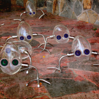 "Мы идем к вам".