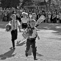 Цветы для учителя