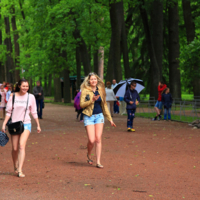 Навстречу дождю.