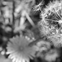 Пересечение прямых