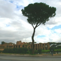 Terme di massenzio