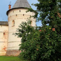 Монастырские яблоки.