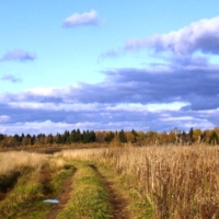 Осень золотая