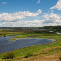 Сельский пейзаж