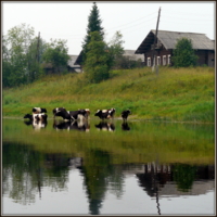 деревенская зарисовка