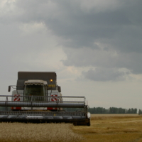 Сельская страда