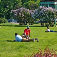 Среди городской суеты.