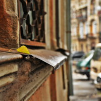 Осень на карнизе