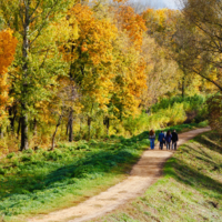 Осень в парке