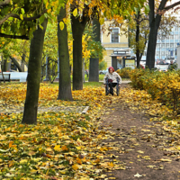 Еще одна осень