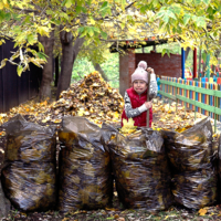 Они кружатся, а я убирай!