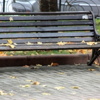 Разбросала осень листья...