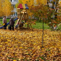 Осень золотая..