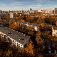 В осеннем наряде.