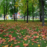 Откружились.