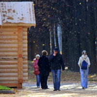 Листопад-снегопад