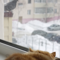 Обоюдный интерес