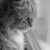 Окно в неведомый мир