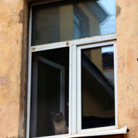 Глядя во двор