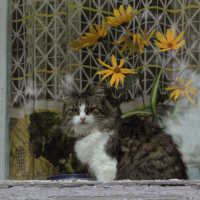 "Кто это меня фотографирует?"