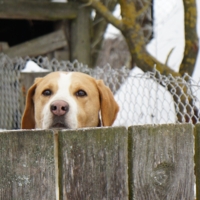 Замуровали!!!!