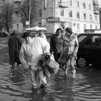 Спасайся, кто может!