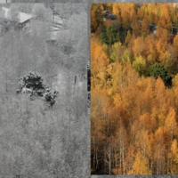 27 октября и 2 октября