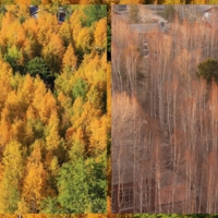 25 сентября и 3 мая