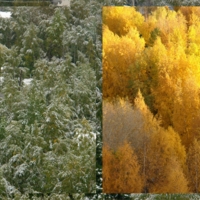 9 сентября и 25 сентября