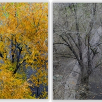 Октябрь-Ноябрь