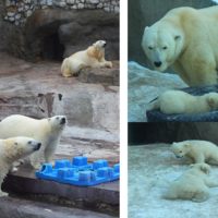 Куда уходит детство?