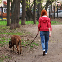 Дама с собачкой