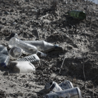 Всё загадили, если вкратце.