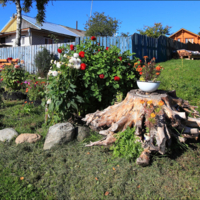 А жизнь продолжается.