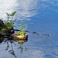 Вода-вода, кругом вода..