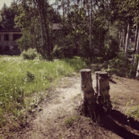 Пень, тень, дух деревень...