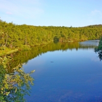 Спокойное течение.