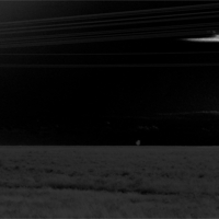 Тиха украинская ночь