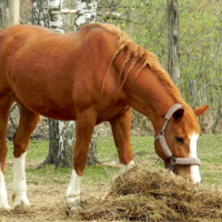 Обеденный перерыв