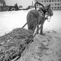 Ну вот- Новый год!