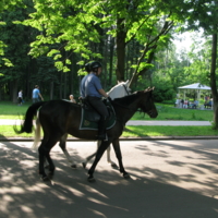 В парке