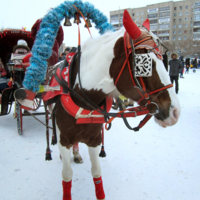 новогодняя лошадка