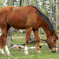 На прогулке