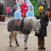 В ожидании детишек.