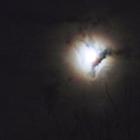 Ночь, луна...и облака.
