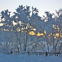 Зимние декорации.